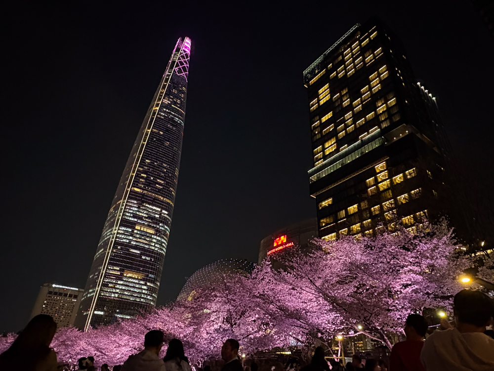 ロッテワールドタワーと桜のライトアップ
