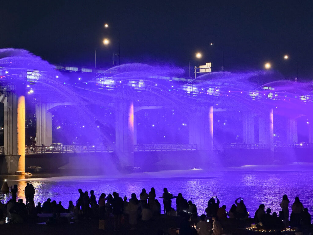 盤浦漢江公園の夜景