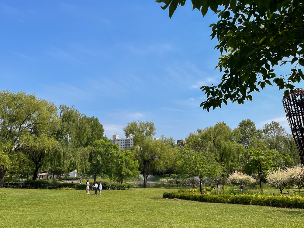 龍山家族公園